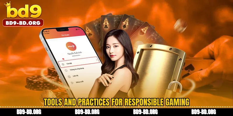 Tools and Practices for Responsible Gaming