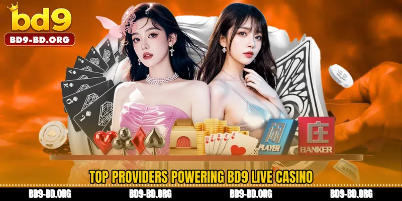 Top Providers Powering BD9 Live casino
