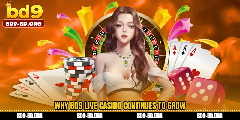 Why BD9 Live casino Continues to Grow